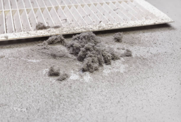 Best Ductwork Cleaning Services  in Lmdale, PA