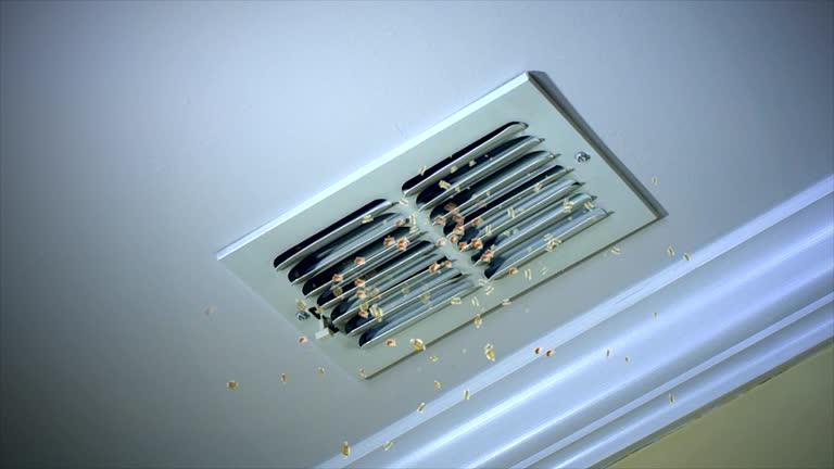 Best Affordable Duct Cleaning Services  in Lmdale, PA